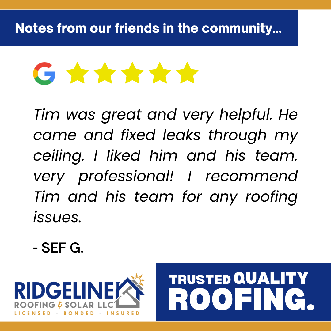 Sef G. <!-- wp:paragraph -->
<p>Tim was great and very helpful. He came and fixed leaks through my ceiling. I liked him and his team. Very professional! I recommend Tim and his team for any roofing issues.</p>
<!-- /wp:paragraph -->