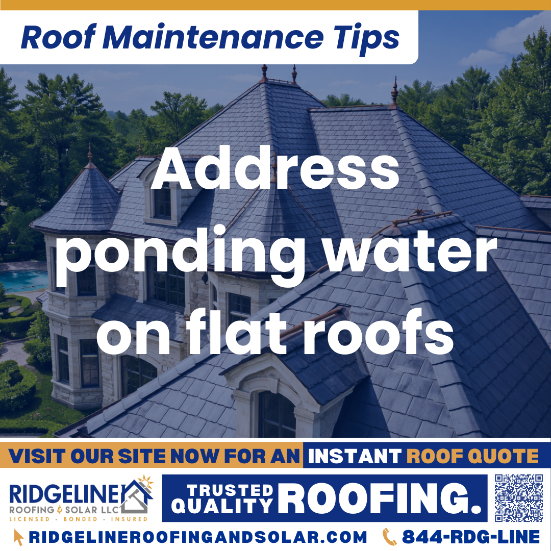 Address ponding water on flat roofs Ridgeline Roofing and Solar Roof Maintenance Tip for Homeowners: Address ponding water on flat roofs
