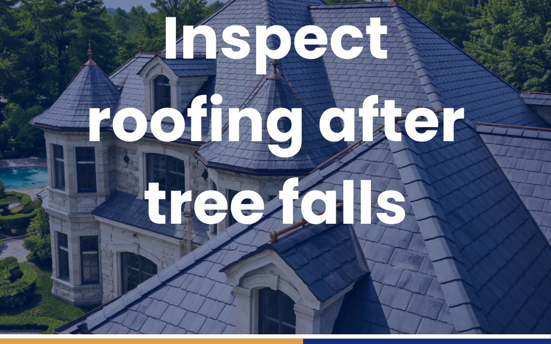 Inspect roofing after tree falls