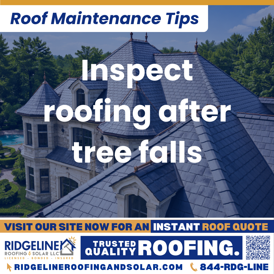 Ridgeline Roofing and Solar Roof Maintenance Tip for Homeowners: Inspect roofing after tree falls