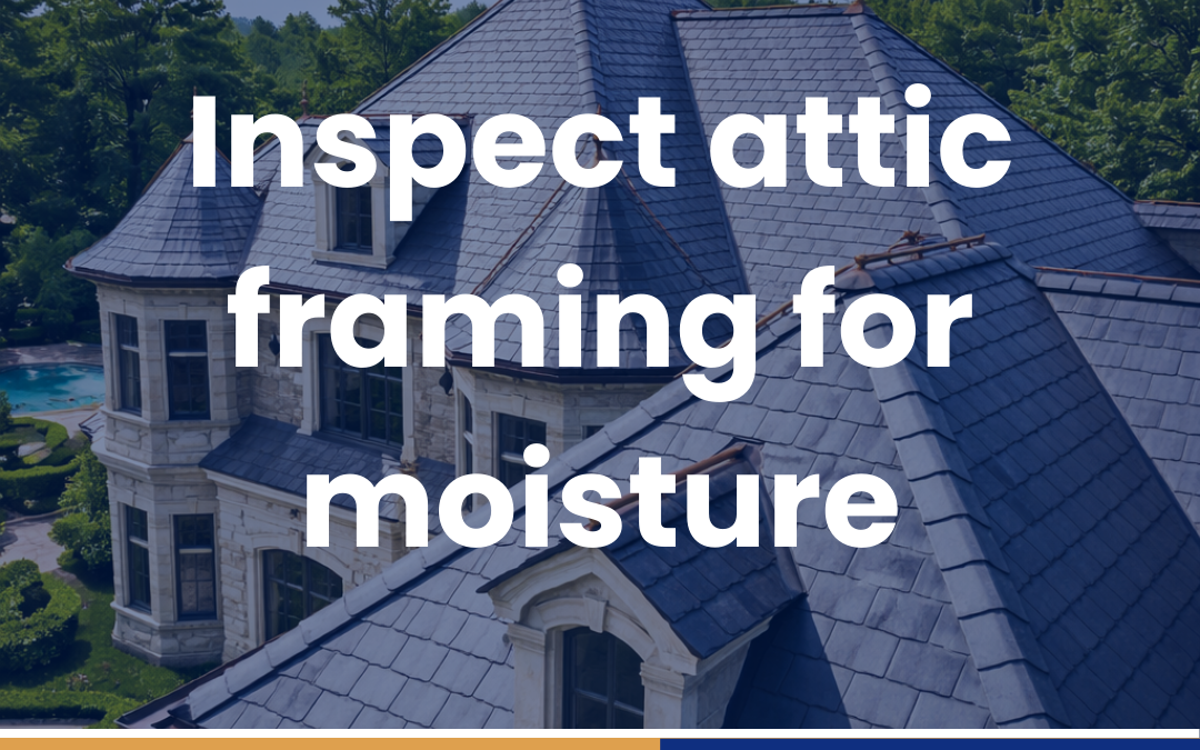 Inspect attic framing for moisture