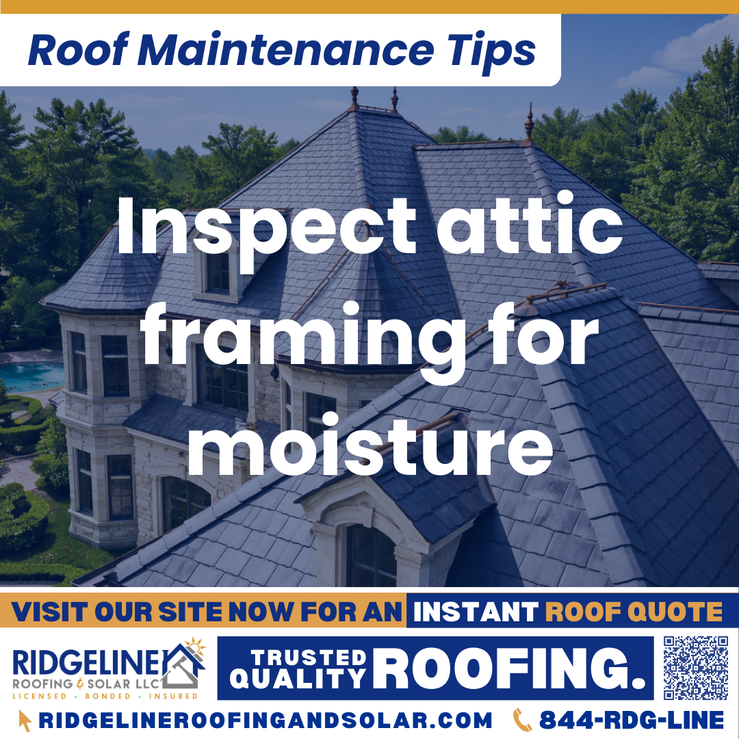 Ridgeline Roofing and Solar Roof Maintenance Tip for Homeowners: Inspect attic framing for moisture