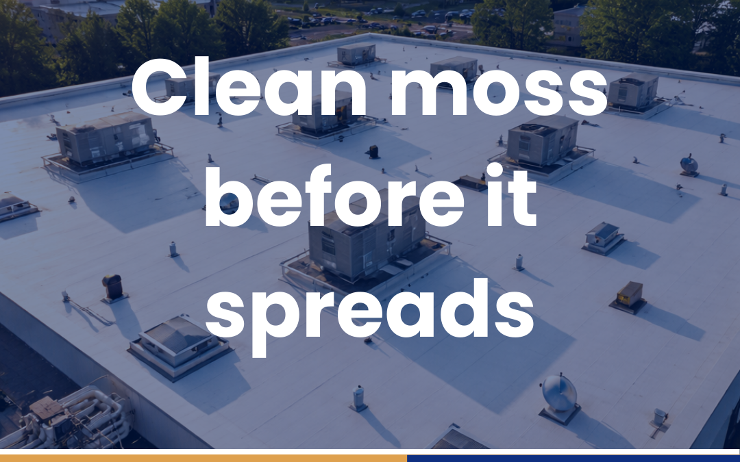Clean moss before it spreads