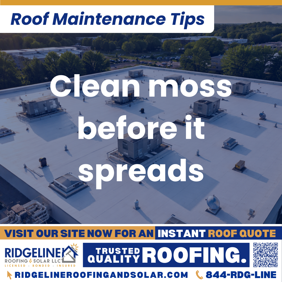 Clean moss before it spreads Ridgeline Roofing and Solar Roof Maintenance Tip for Homeowners: Clean moss before it spreads