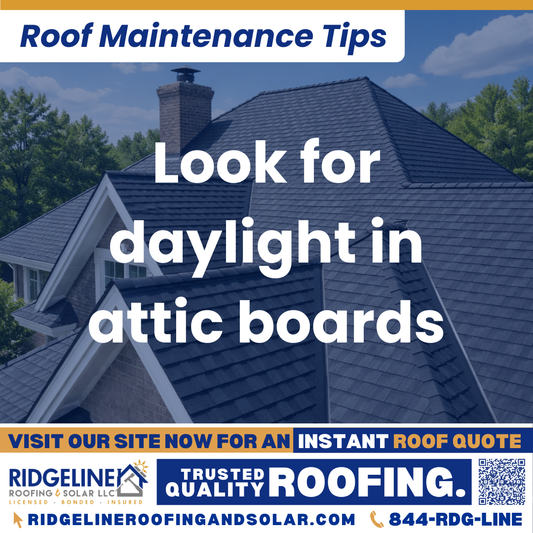 Look for daylight in attic boards Ridgeline Roofing and Solar Roof Maintenance Tip for Homeowners: Look for daylight in attic boards