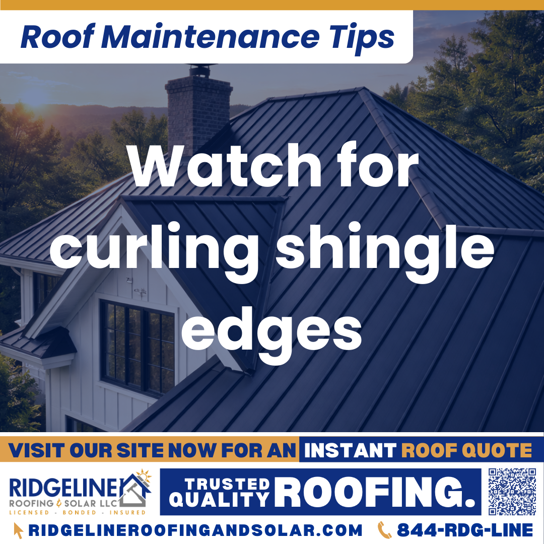 Watch for curling shingle edges Ridgeline Roofing and Solar Roof Maintenance Tip for Homeowners: Watch for curling shingle edges