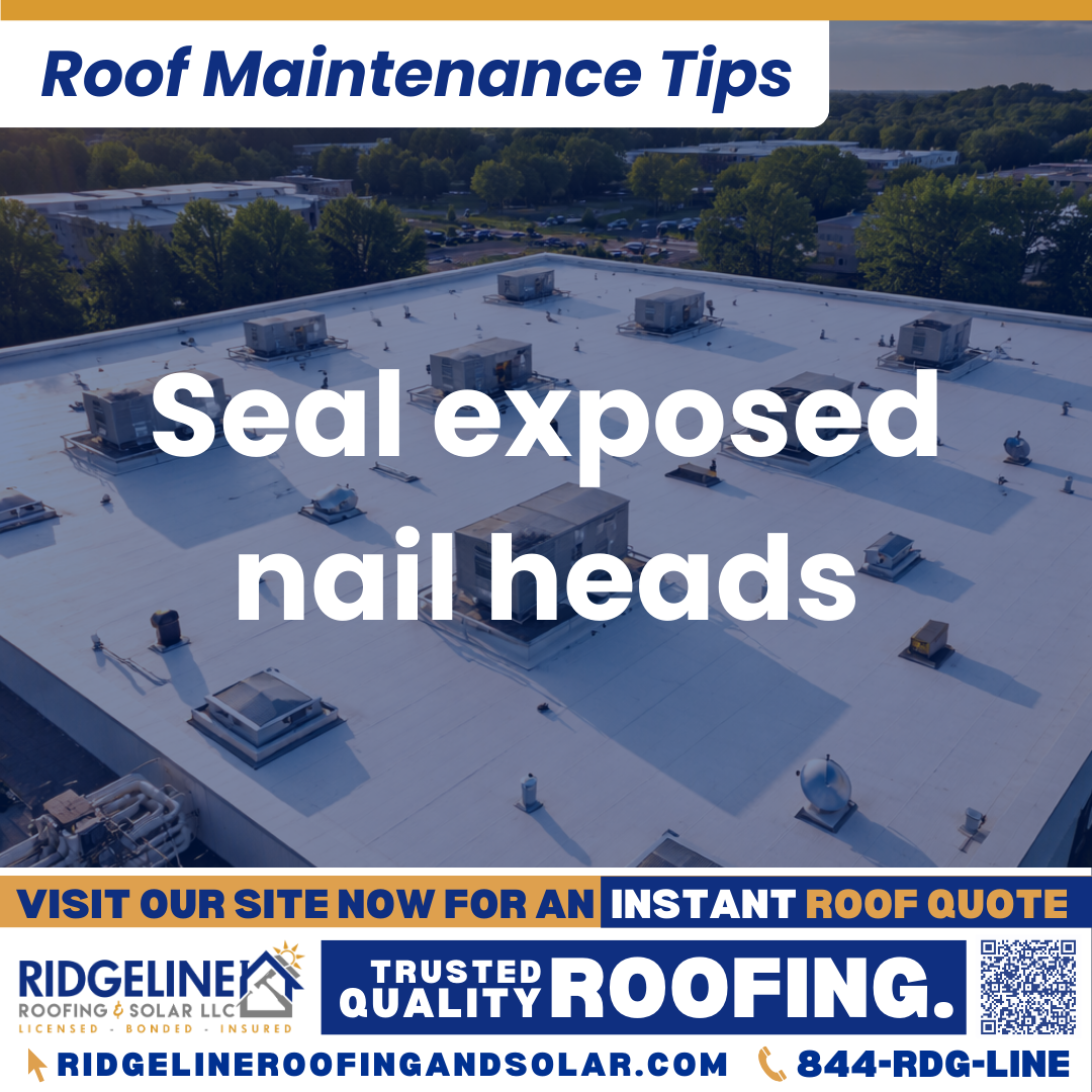 Seal exposed nail heads Ridgeline Roofing and Solar Roof Maintenance Tip for Homeowners: Seal exposed nail heads