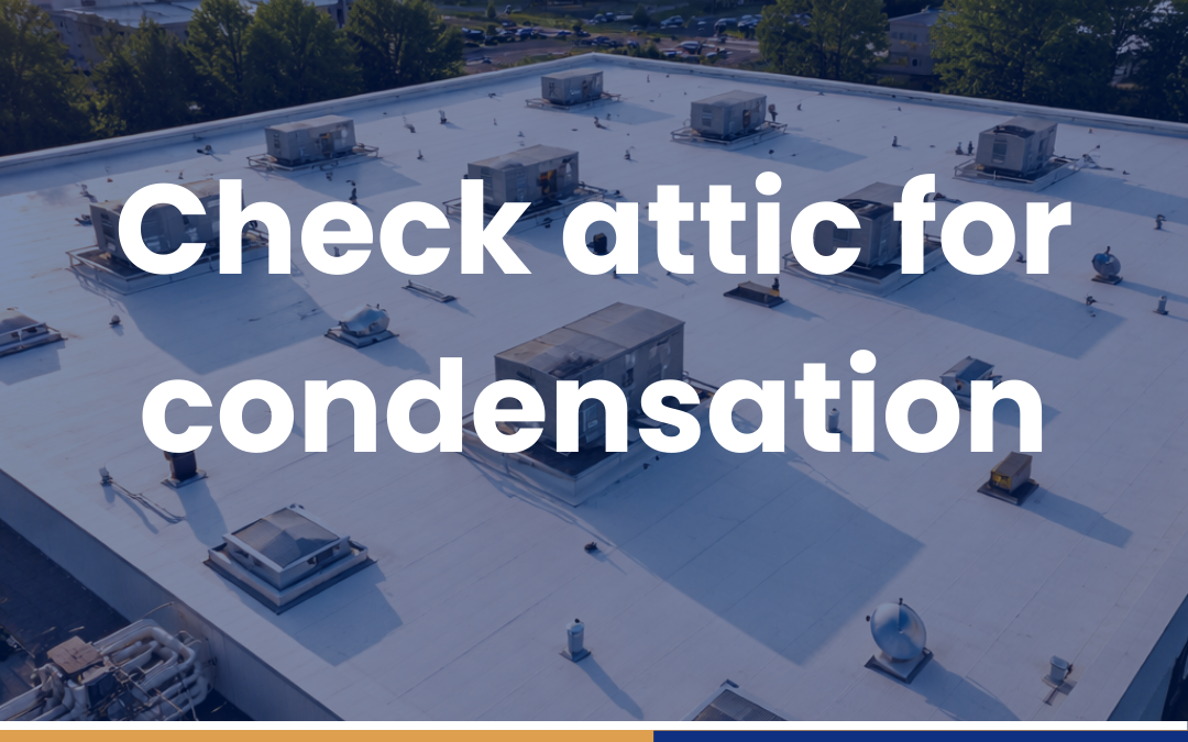 Check attic for condensation