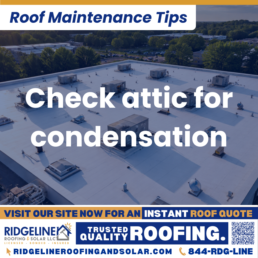 Check attic for condensation Ridgeline Roofing and Solar Roof Maintenance Tip for Homeowners: Check attic for condensation