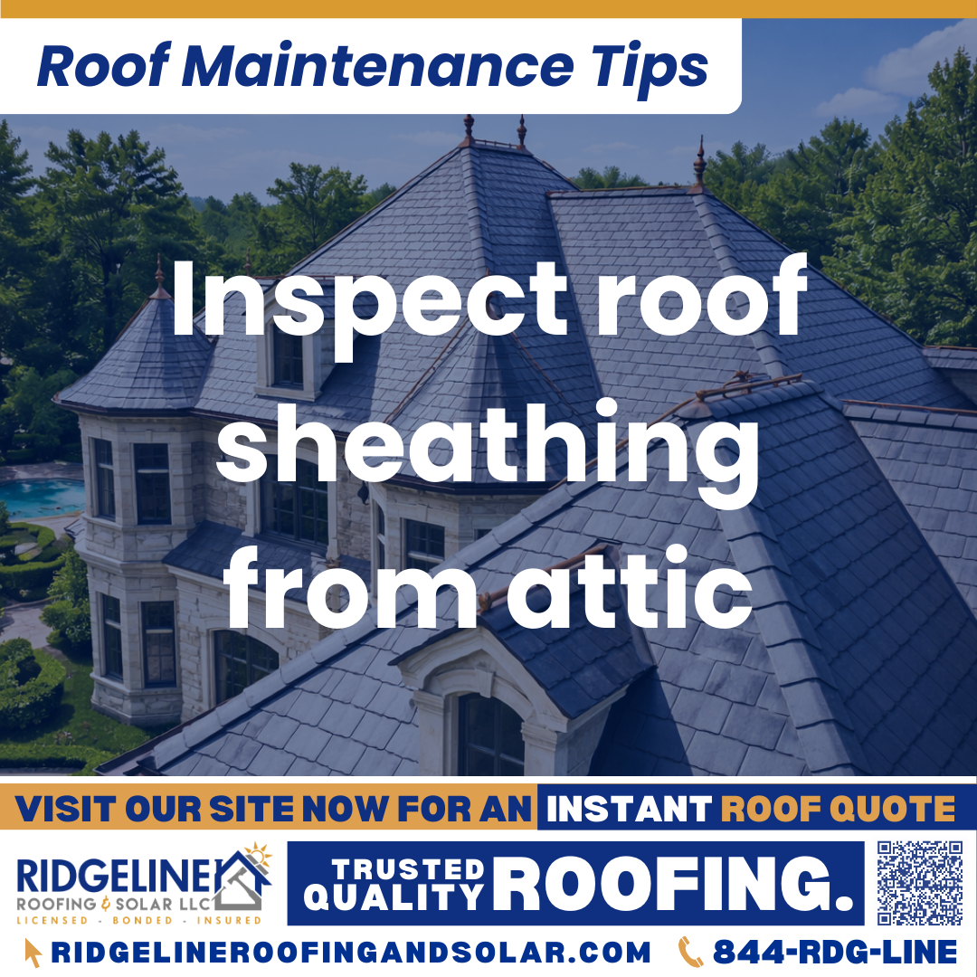Ridgeline Roofing and Solar Roof Maintenance Tip for Homeowners: Inspect roof sheathing from attic