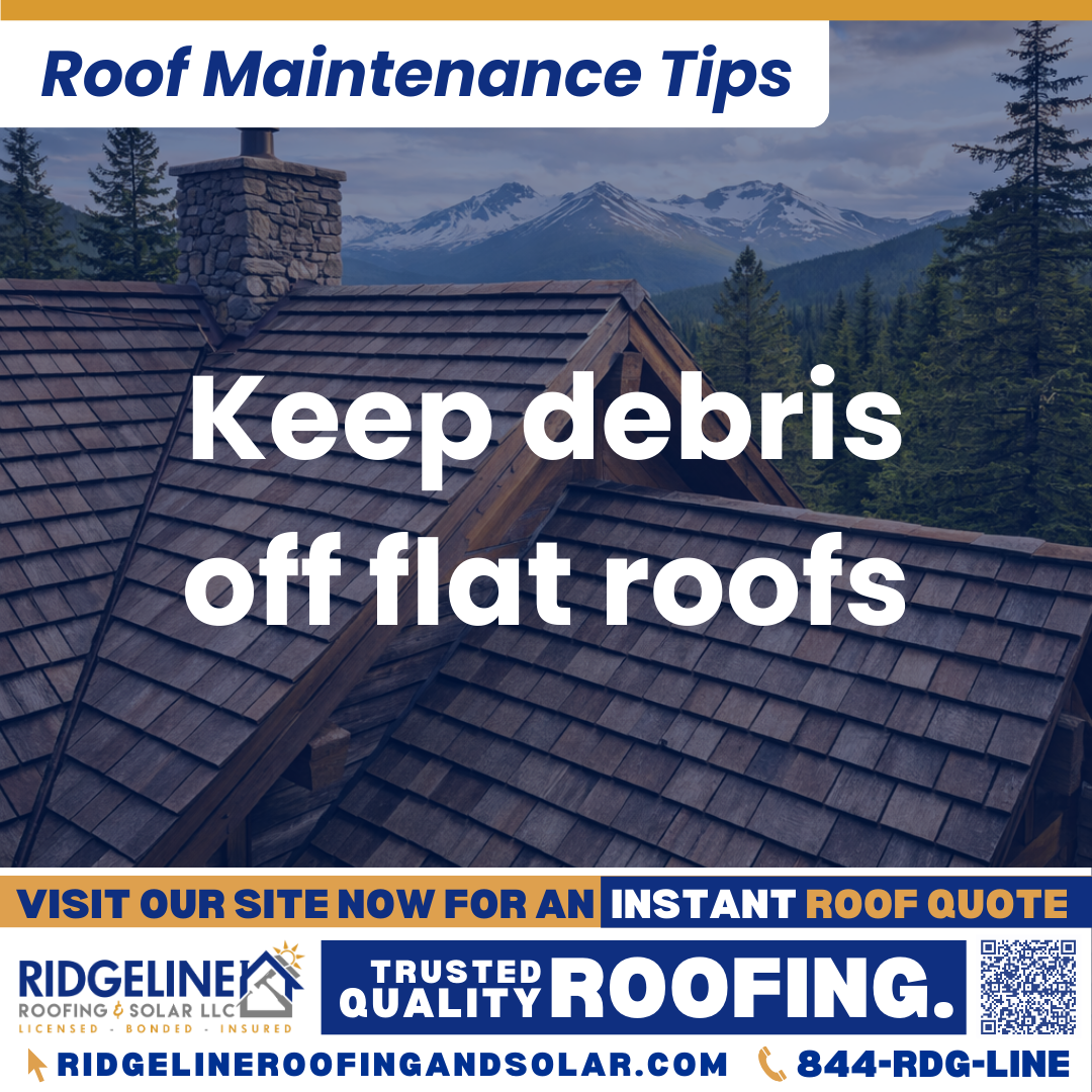 Ridgeline Roofing and Solar Roof Maintenance Tip for Homeowners: Keep debris off flat roofs