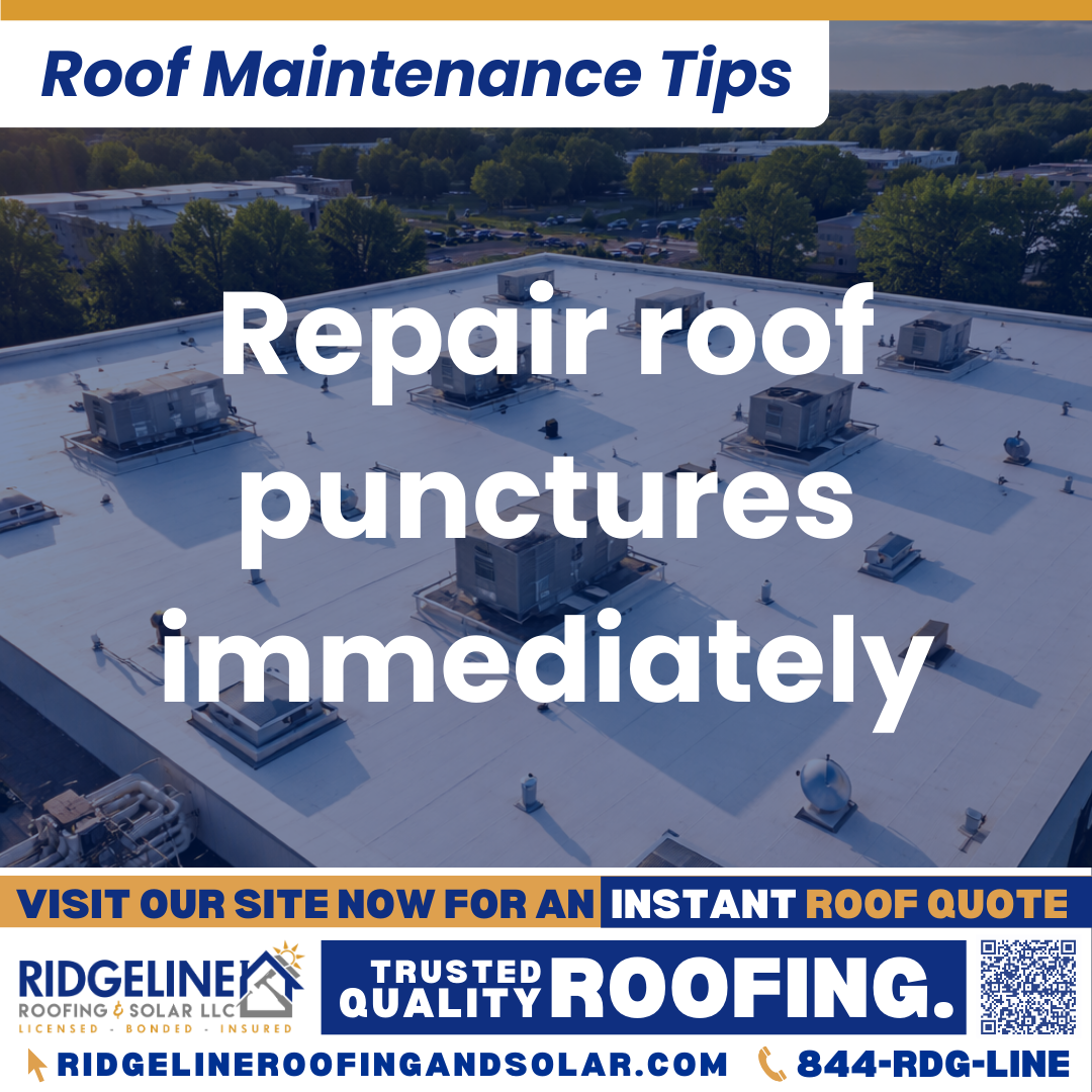 Repair roof punctures immediately Ridgeline Roofing and Solar Roof Maintenance Tip for Homeowners: Repair roof punctures immediately