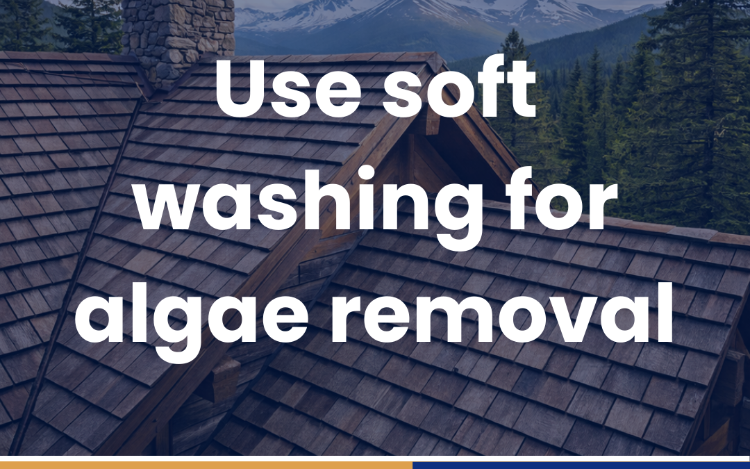 Use soft washing for algae removal