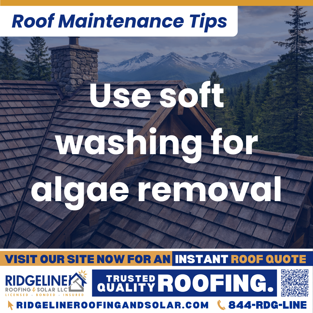 Use soft washing for algae removal Ridgeline Roofing and Solar Roof Maintenance Tip for Homeowners: Use soft washing for algae removal