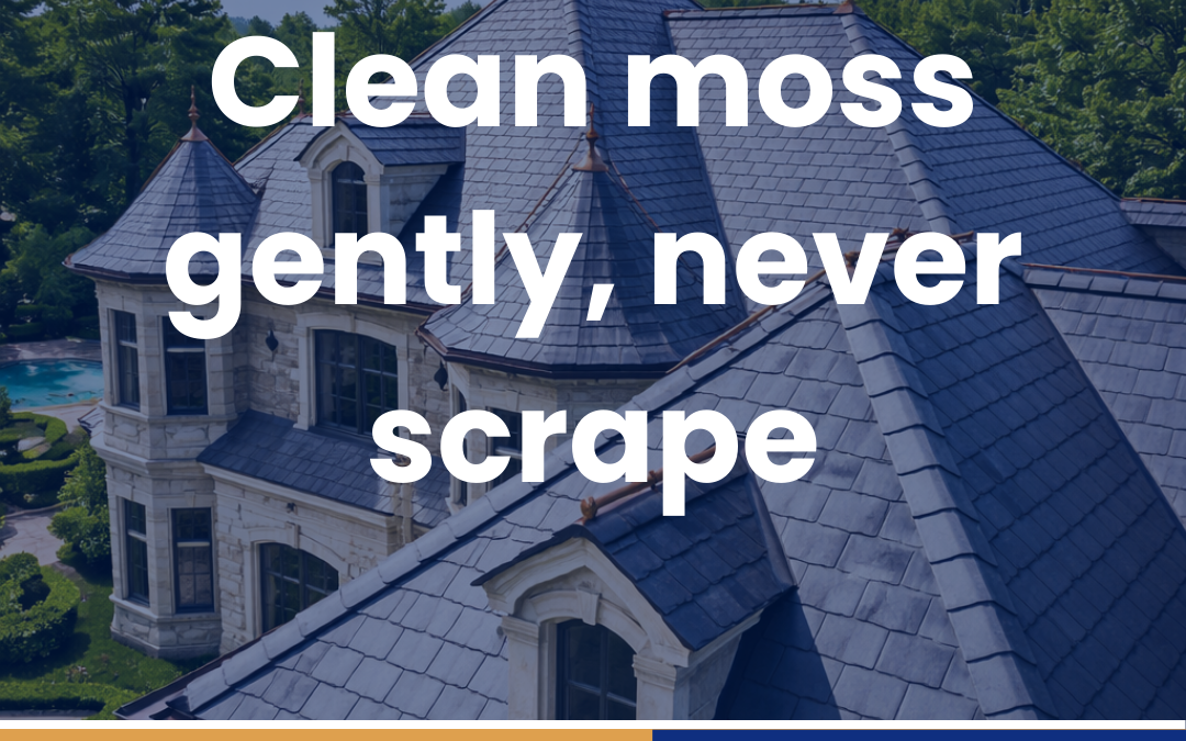 Clean moss gently, never scrape