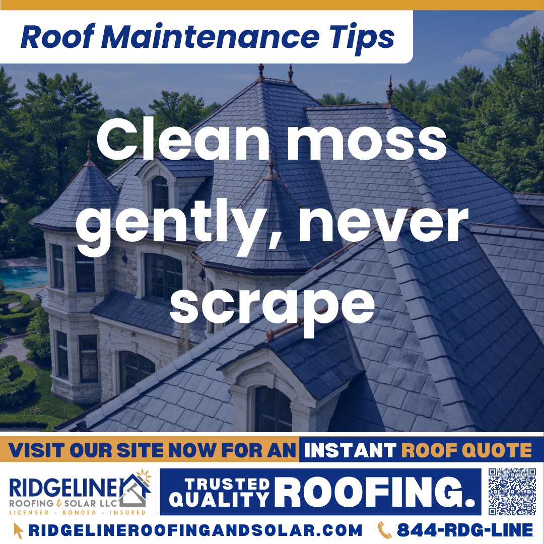Ridgeline Roofing and Solar Roof Maintenance Tip for Homeowners: Clean moss gently