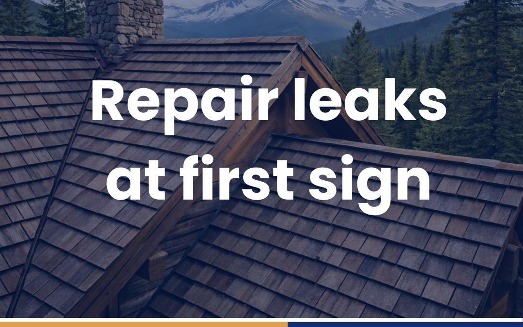 Repair leaks at first sign