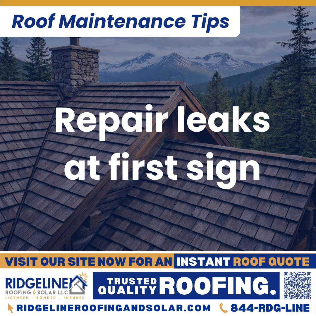 Repair leaks at first sign Ridgeline Roofing and Solar Roof Maintenance Tip for Homeowners: Repair leaks at first sign