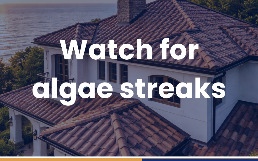 Watch for algae streaks