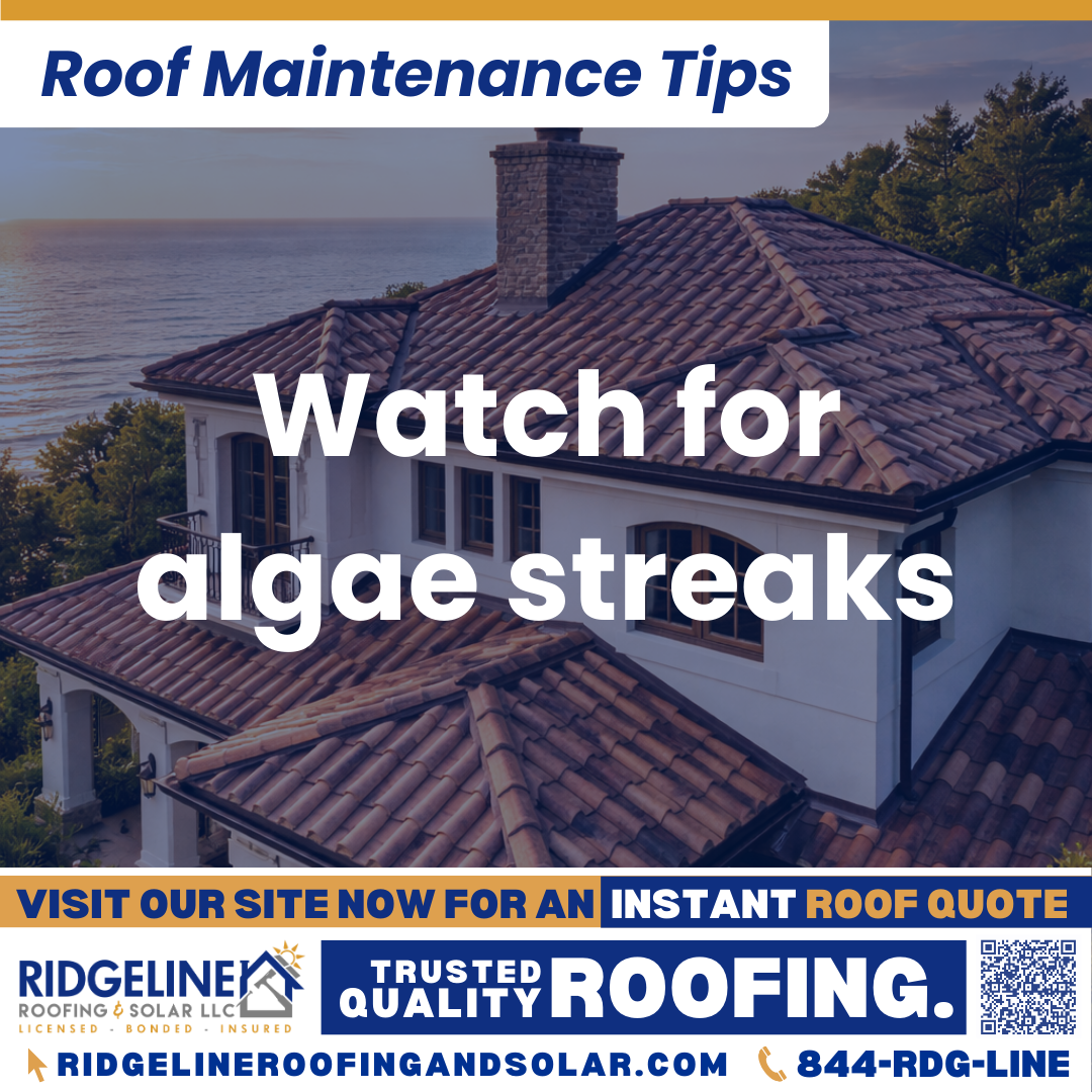 Ridgeline Roofing and Solar Roof Maintenance Tip for Homeowners: Watch for algae streaks