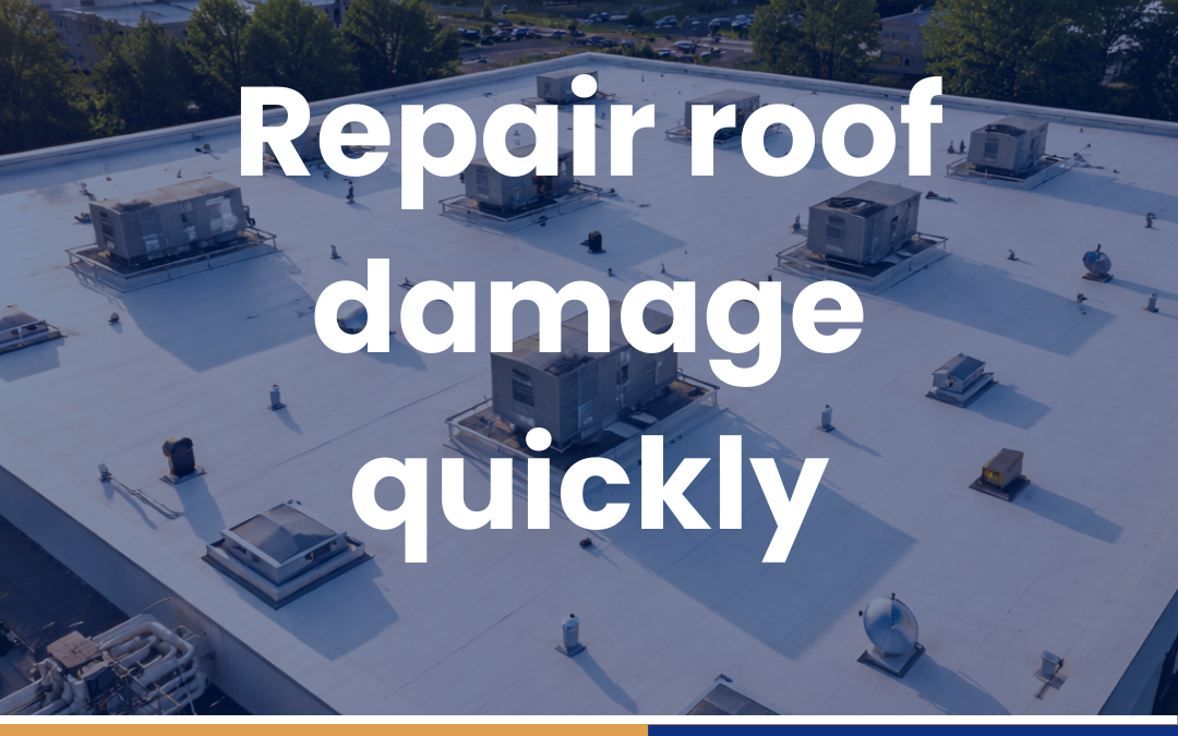 Repair roof damage quickly