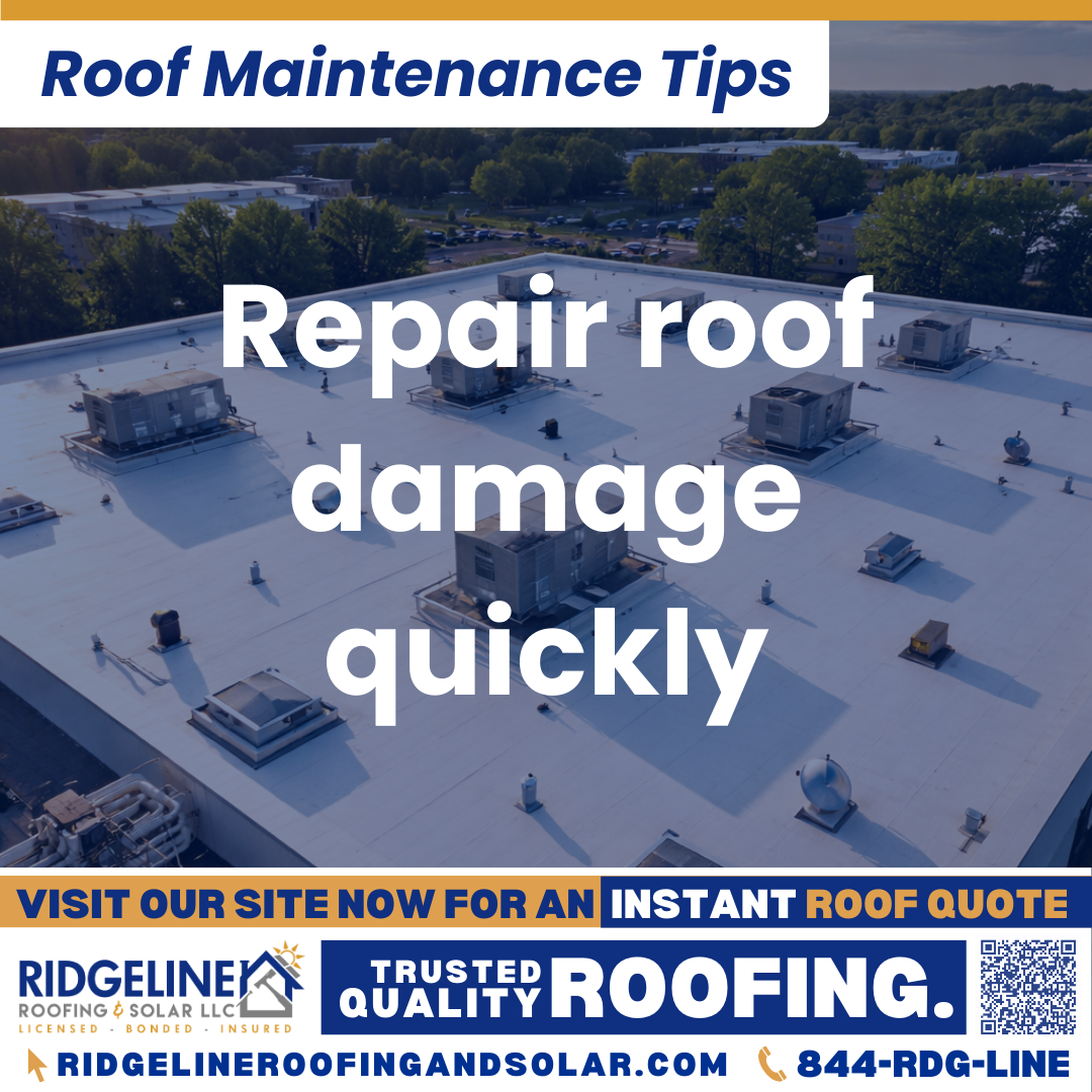 Repair roof damage quickly Ridgeline Roofing and Solar Roof Maintenance Tip for Homeowners: Repair roof damage quickly