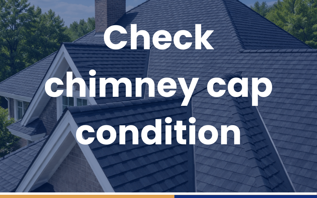 Check chimney cap condition