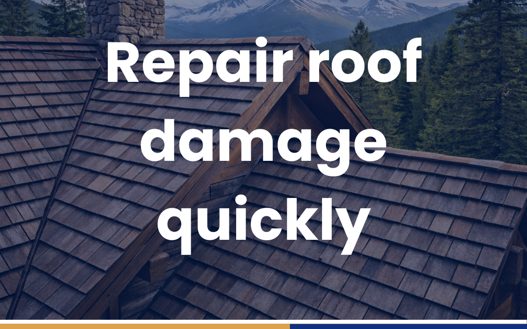 Repair roof damage quickly