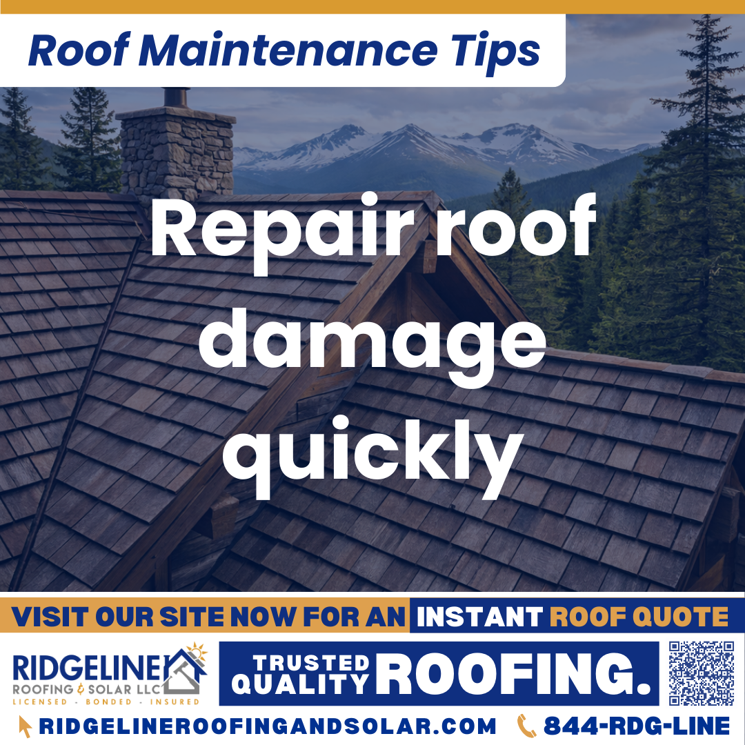 Ridgeline Roofing and Solar Roof Maintenance Tip for Homeowners: Repair roof damage quickly