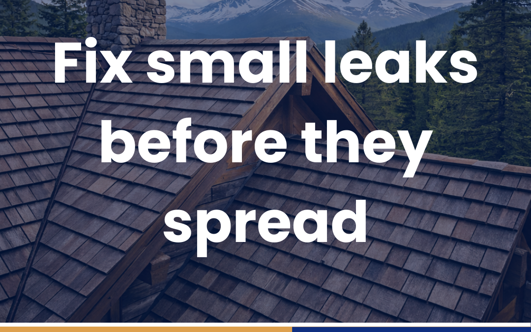 Fix small leaks before they spread