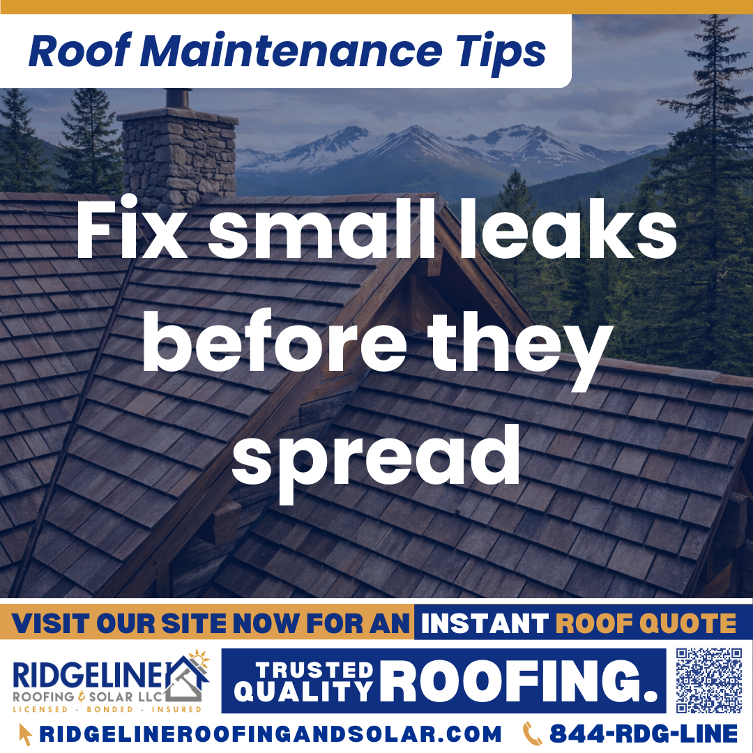 Ridgeline Roofing and Solar Roof Maintenance Tip for Homeowners: Fix small leaks before they spread