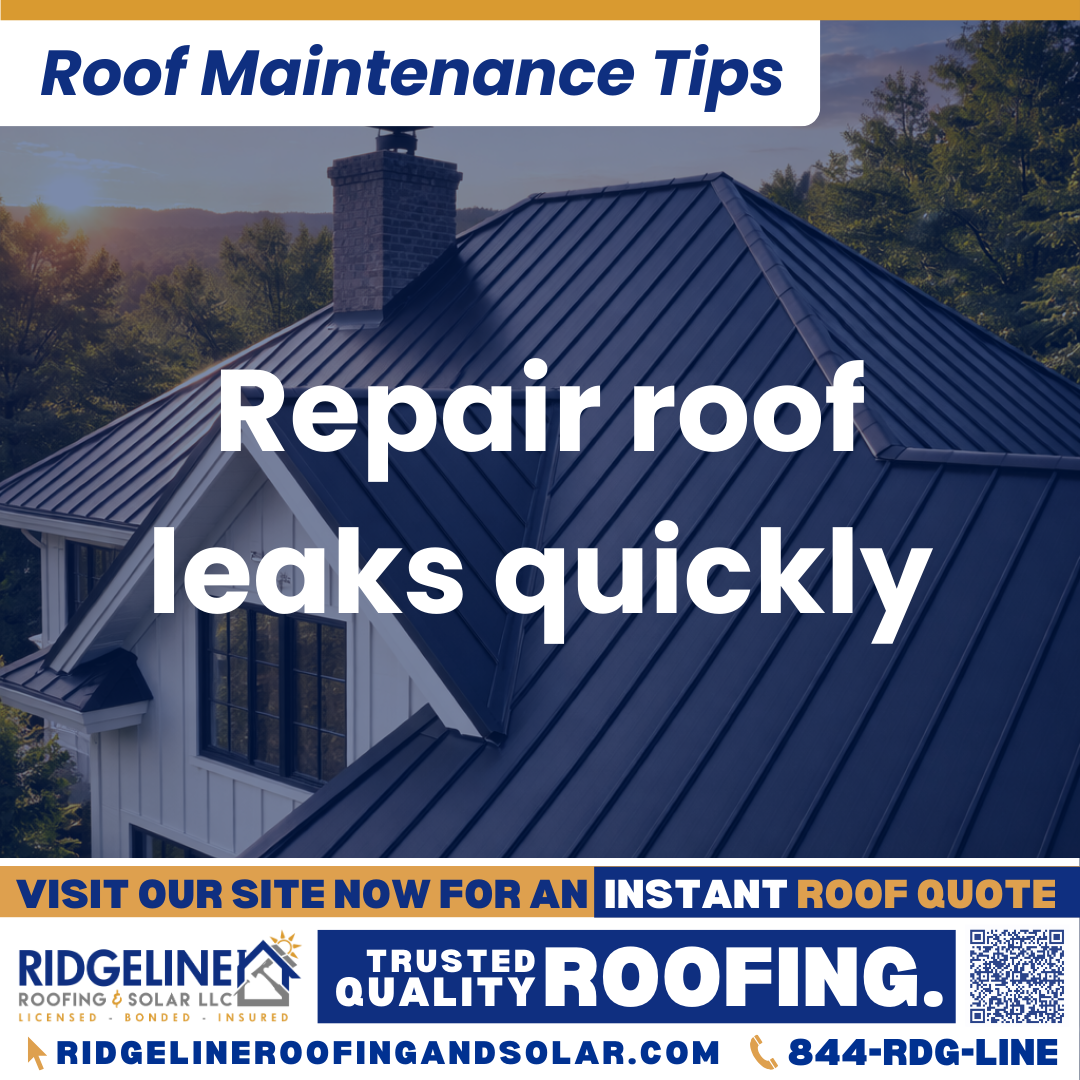 Repair roof leaks quickly Ridgeline Roofing and Solar Roof Maintenance Tip for Homeowners: Repair roof leaks quickly