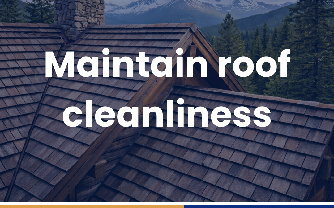 Maintain roof cleanliness