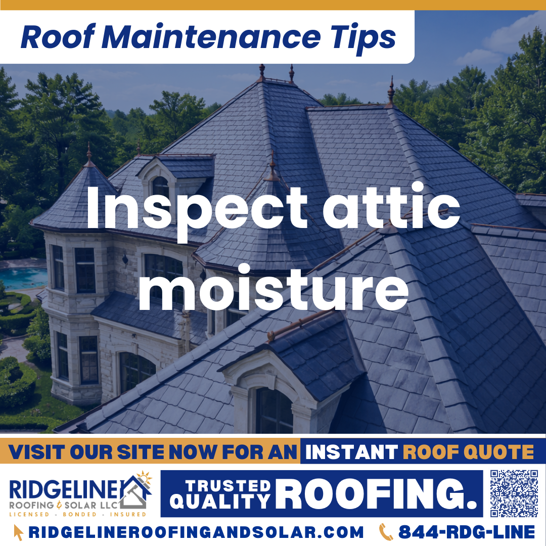 Ridgeline Roofing and Solar Roof Maintenance Tip for Homeowners: Inspect attic moisture