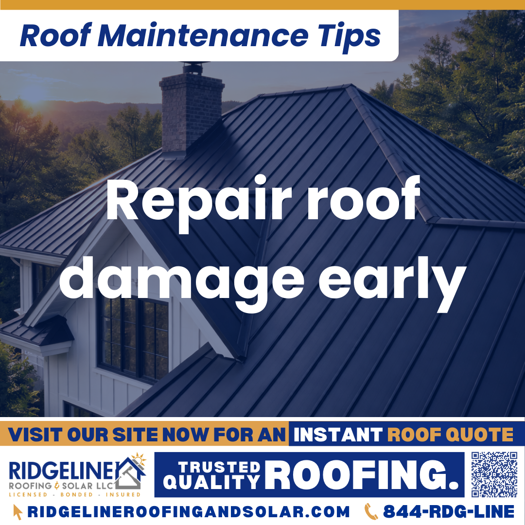 Repair roof damage early Ridgeline Roofing and Solar Roof Maintenance Tip for Homeowners: Repair roof damage early