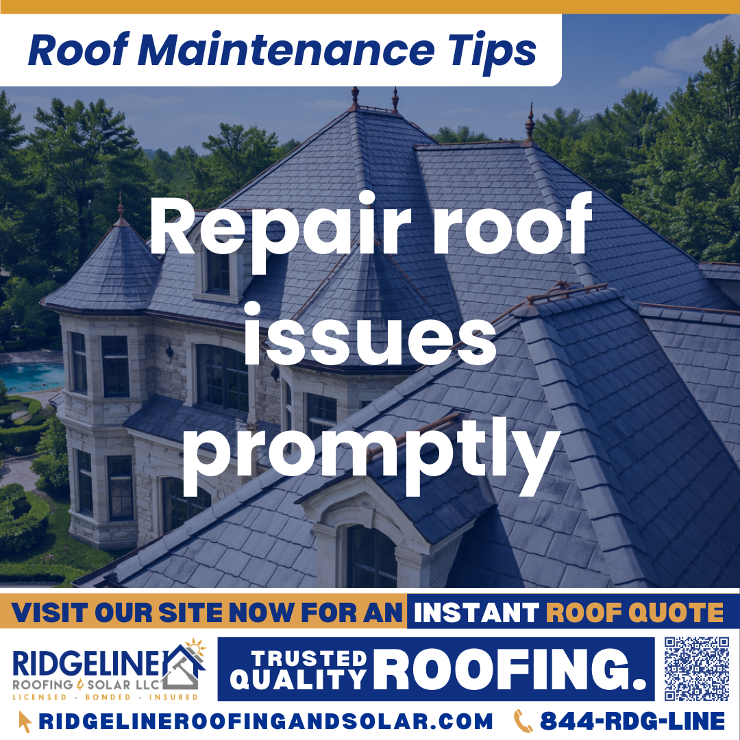 Repair roof issues promptly Ridgeline Roofing and Solar Roof Maintenance Tip for Homeowners: Repair roof issues promptly