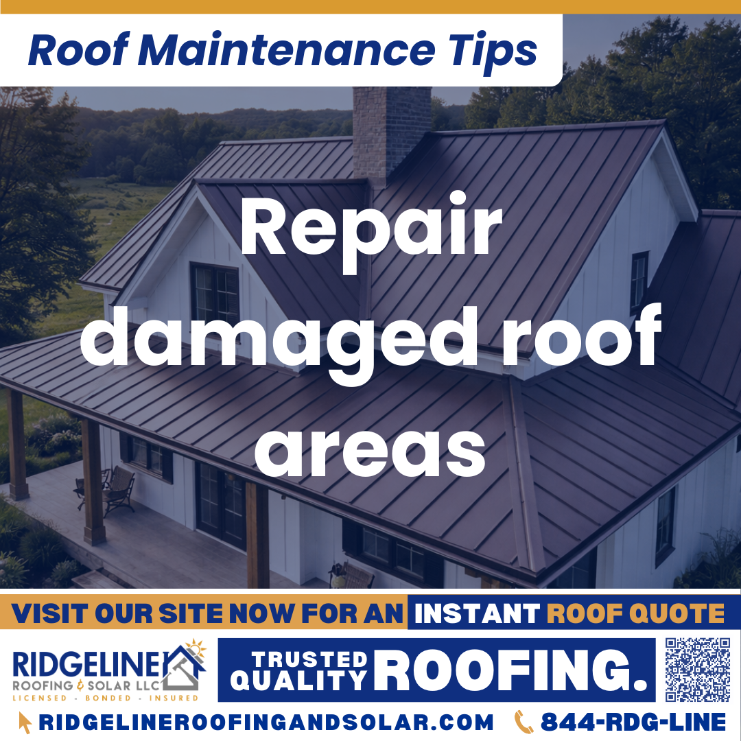 Repair damaged roof areas Ridgeline Roofing and Solar Roof Maintenance Tip for Homeowners: Repair damaged roof areas