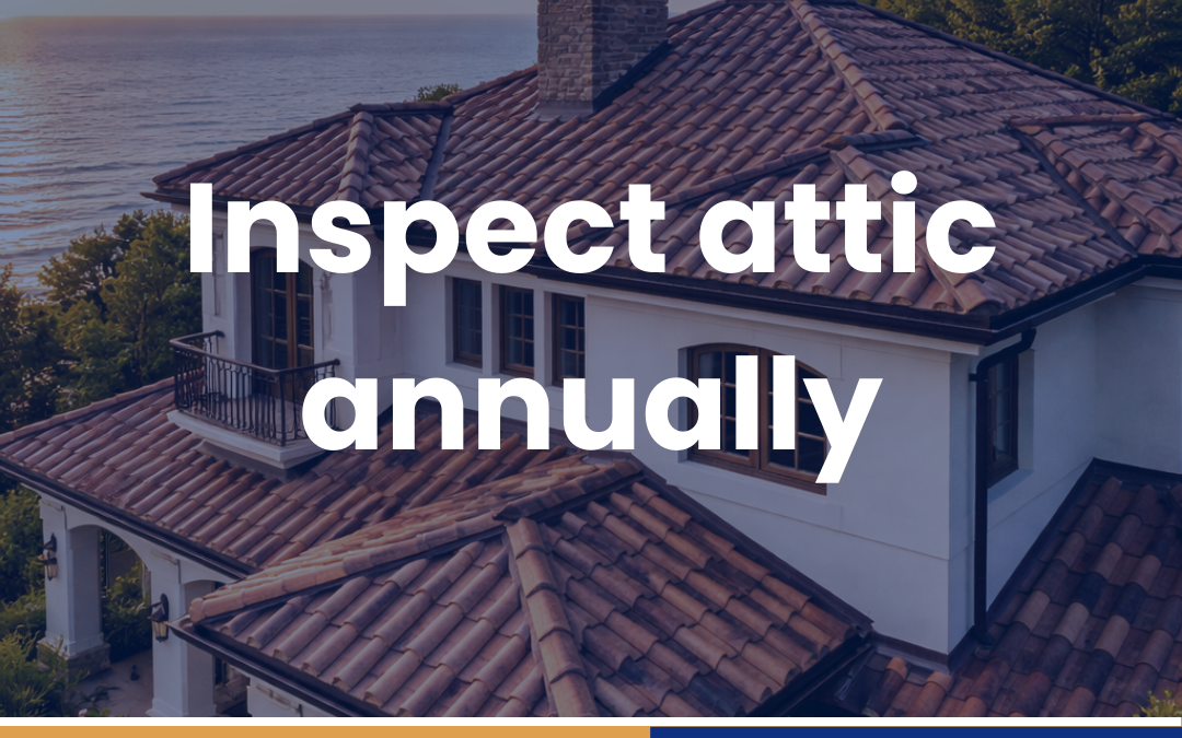 Inspect attic annually