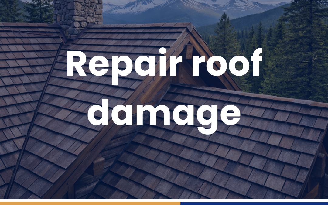 Repair roof damage