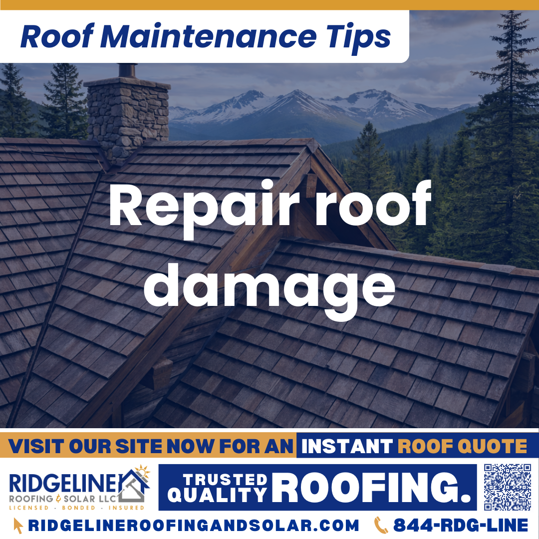 Repair roof damage Ridgeline Roofing and Solar Roof Maintenance Tip for Homeowners: Repair roof damage