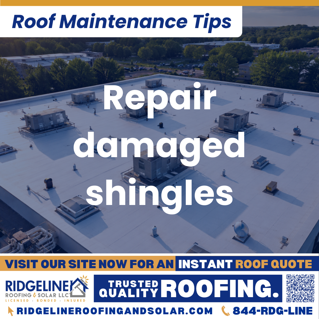Repair damaged shingles Ridgeline Roofing and Solar Roof Maintenance Tip for Homeowners: Repair damaged shingles