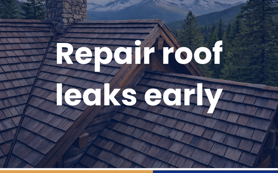 Repair roof leaks early
