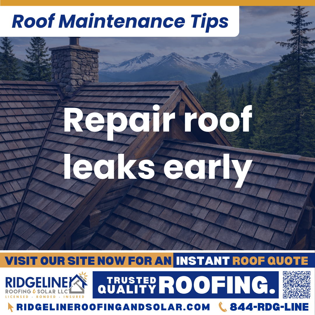 Repair roof leaks early Ridgeline Roofing and Solar Roof Maintenance Tip for Homeowners: Repair roof leaks early