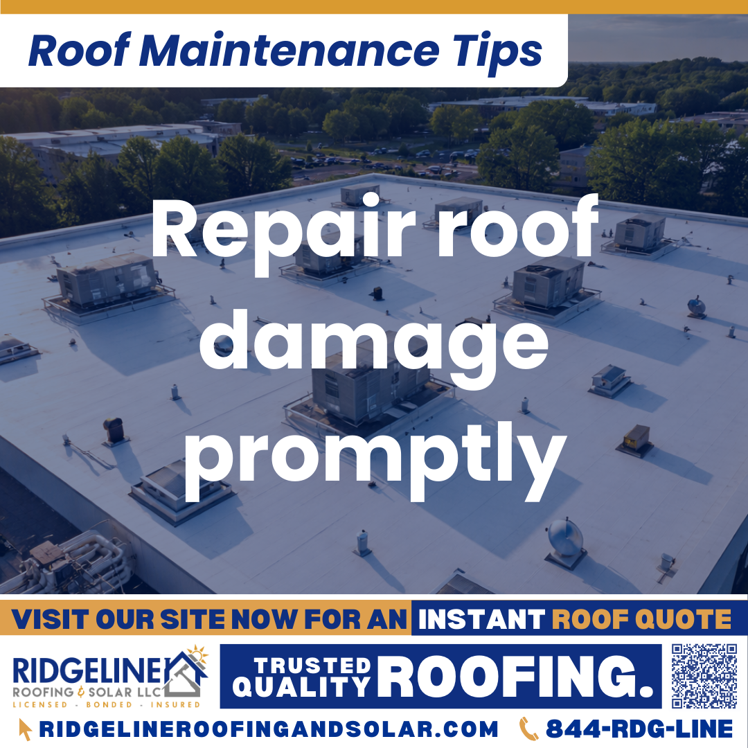 Ridgeline Roofing and Solar Roof Maintenance Tip for Homeowners: Repair roof damage promptly