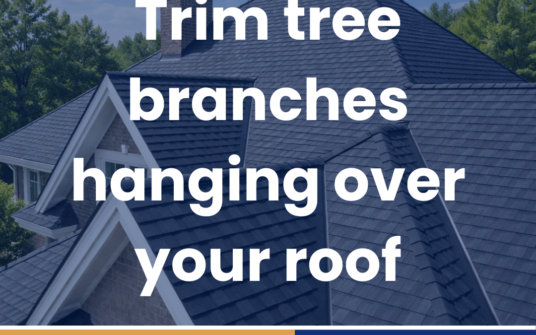 Trim tree branches hanging over your roof