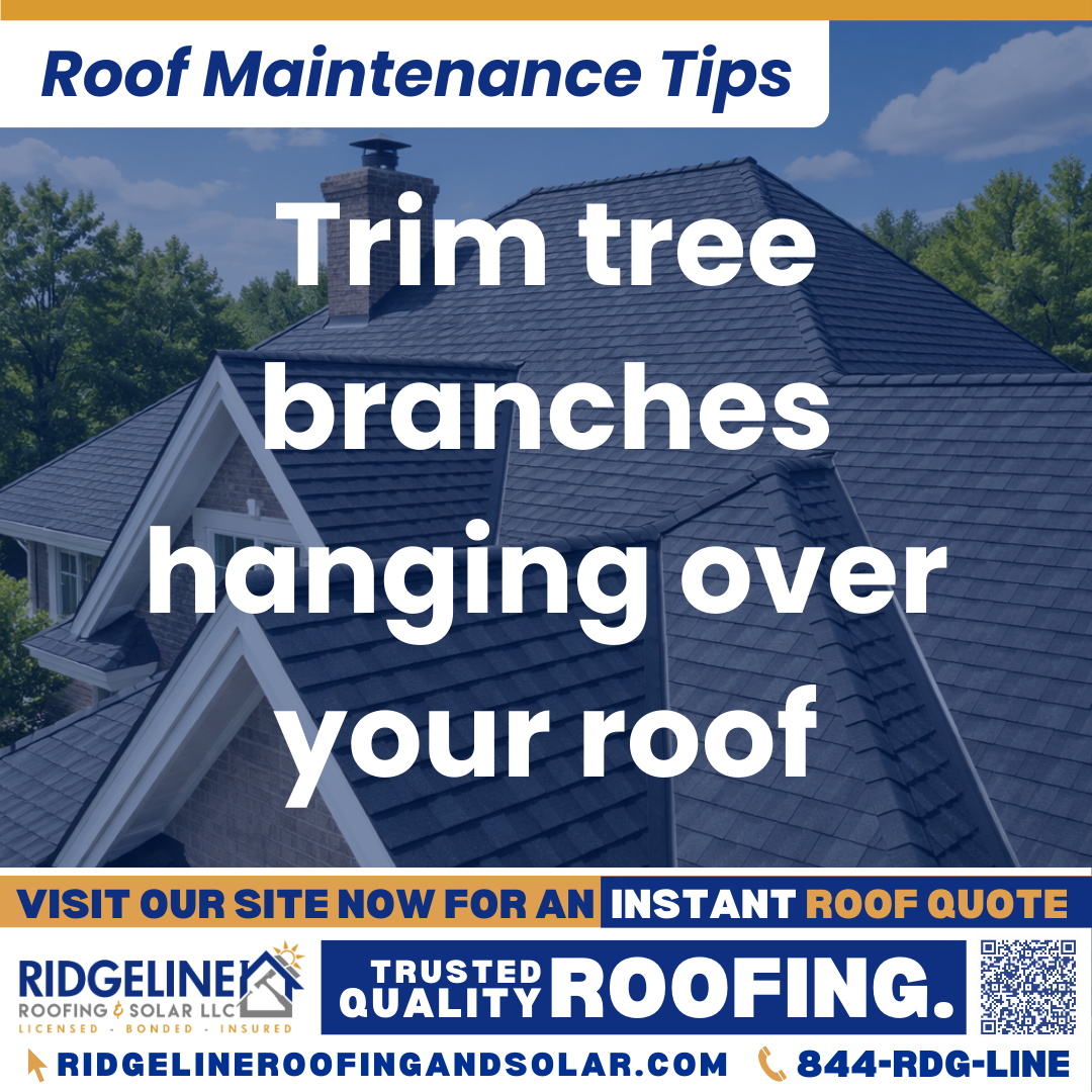 Trim tree branches hanging over your roof Ridgeline Roofing and Solar Roof Maintenance Tip for Homeowners: Trim tree branches hanging over your roof