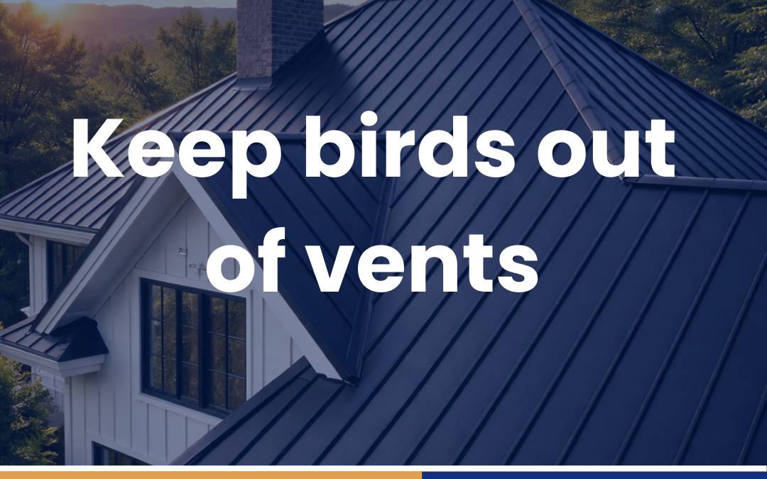 Keep birds out of vents