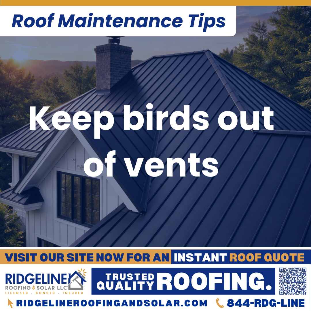 Ridgeline Roofing and Solar Roof Maintenance Tip for Homeowners: Keep birds out of vents