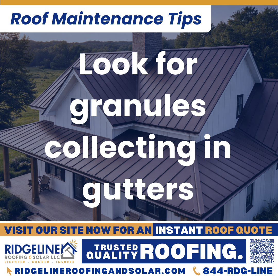 Ridgeline Roofing and Solar Roof Maintenance Tip for Homeowners: Look for granules collecting in gutters