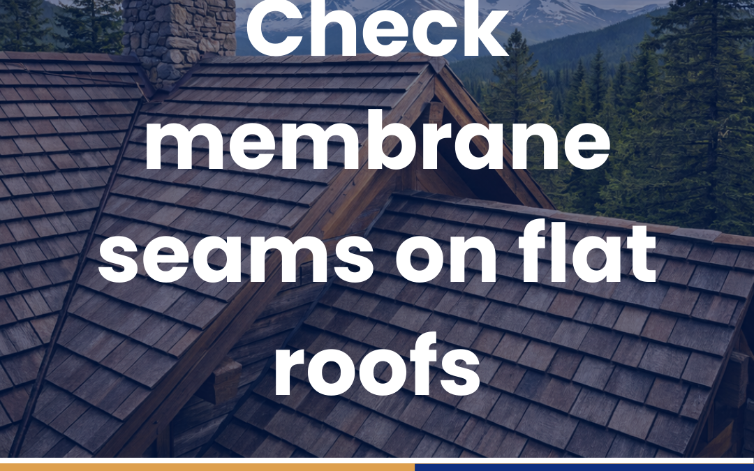 Check membrane seams on flat roofs